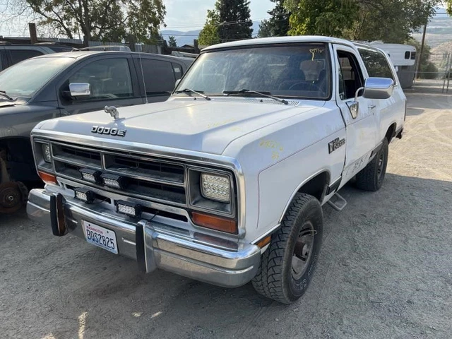 Passenger Tail Light Sweptline With Bezel Fits 88-93 DODGE 150 PICKUP 909091