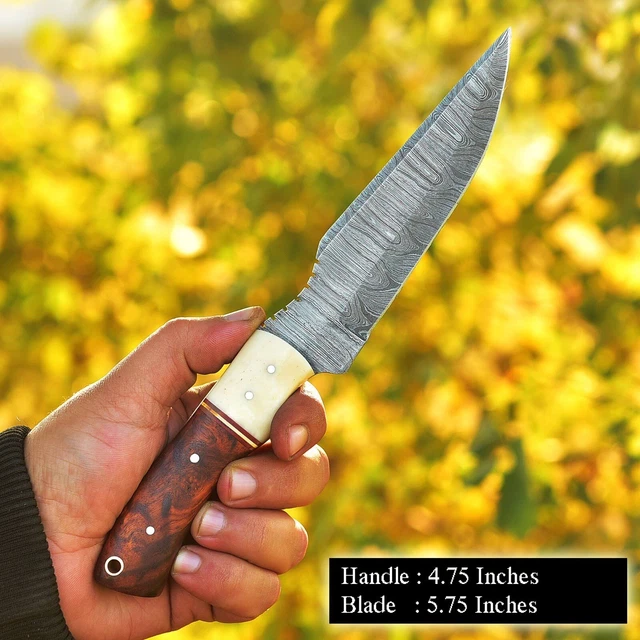10.5” Damascus steel hunting fixed blade skinning knife Damascus Knives x-676
