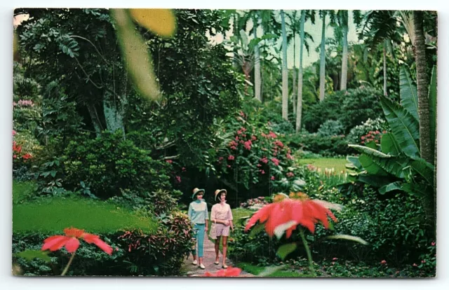 1950s ST PETERSBURG FL FLORIDA'S SUNKEN GARDENS FLORAL LADIES POSTCARD P2040