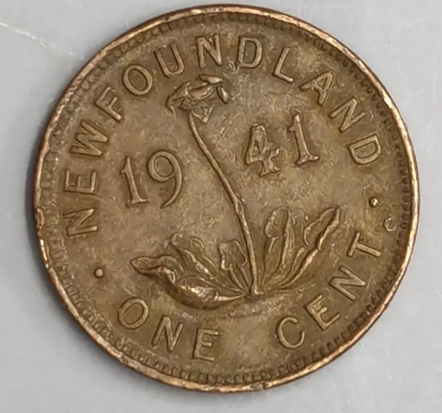 1941 NEWFOUNDLAND Canada One Cent Penny coin showing a Carnivorous Plant (C3686)