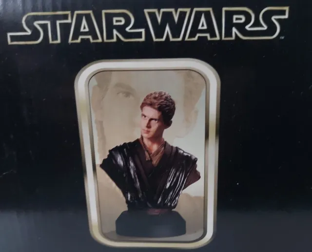 Star Wars Anakin Skywalker Collectible Bust Statue Limited Edition Gentle Giant