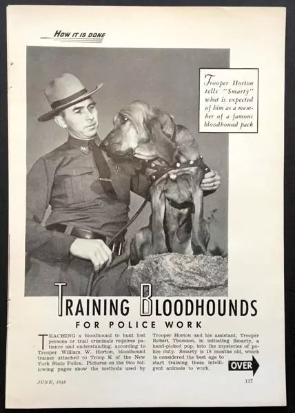 Training Bloodhounds for Police Work 1942 pictorial New York State Police