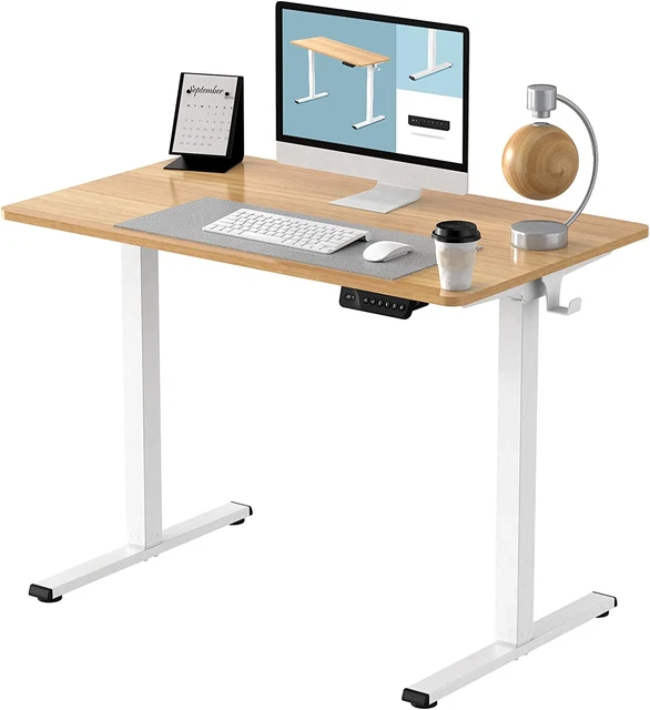 FLEXISPOT Standing Desk Electric Stand up Desk with 40 X 24 Inches Ergonomic Mem