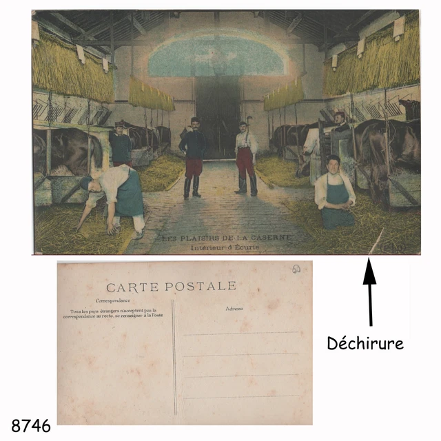 Lindner 1131 - S Set : Album cartes postales CLASSIC avec boîtier-noir Lindner 1131 - S Set : Album cartes postales CLASSIC avec boîtier-noir