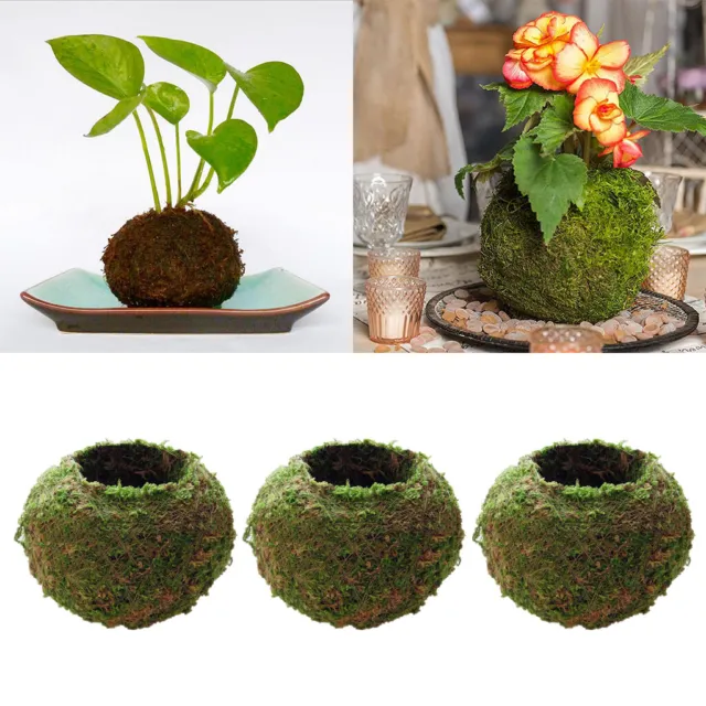 3 creativo muschio palla fiore vaso fioriera bonsai pianta titolare casa