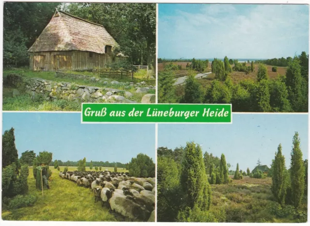 AK Gruß aus der Lüneburger Heide gel. 1989 von Bergen nach Essen
