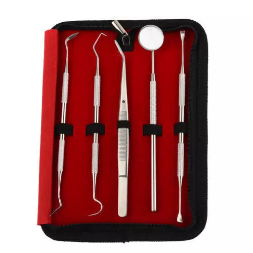 5x Dental Set Zahnarzt Instrumente Zahnsonde Zahnpflege Zahnreinigung Werkzeuge,