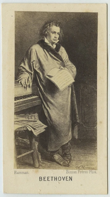 Tirage Albuminé Original Bisson Caen Circa 1858 - Format 37,8x45,9 Cm, Photographie Ancienne