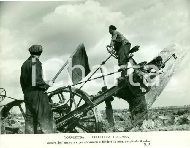 1940 ca TORVISCOSA (UD) Cellulosa Italiana Operai su aratro meccanico *FOTO