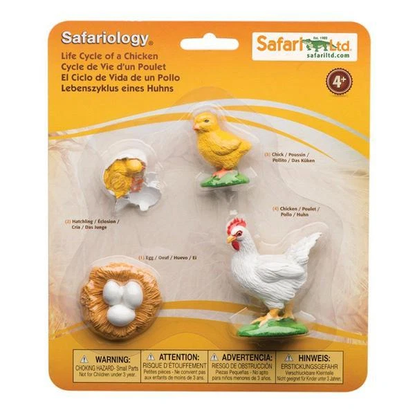 LIFE CYCLE OF A Chicken Figures Safari Ltd NEW Toys Kids Educational ...