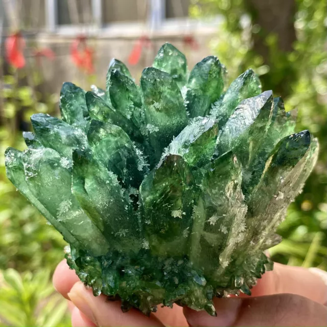 363G New Find Green Phantom Quartz Crystal Cluster Mineral Specimen Healing