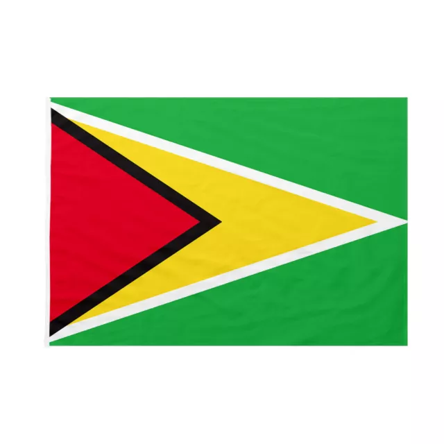 Bandiera da bastone Guyana 70x105cm