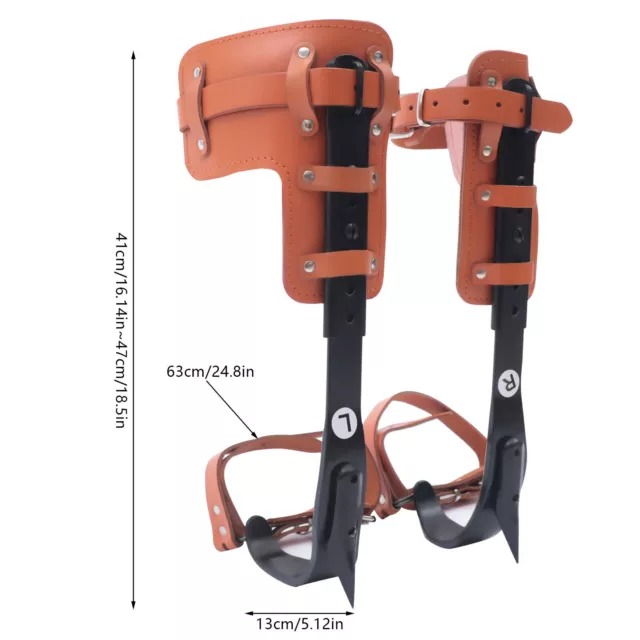 Tree Pole Climbing Spike Kit Fruit Picking Spur Leg Ankle Strap Adjustable 100kg