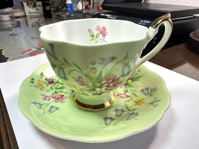 Vintage Queen Anne England Bone China Hand Painted Floral Tea Cup Saucer