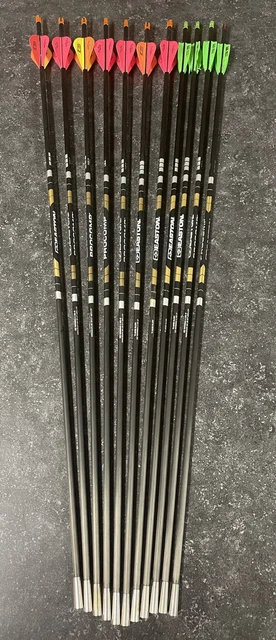 Easton Procomp 340 Arrows With 55gr Titanium Half Outs