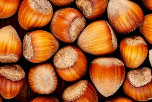 Nocciole biologiche irpine (prezzo al Kg) Nocciole biologiche irpine (prezzo al Kg)