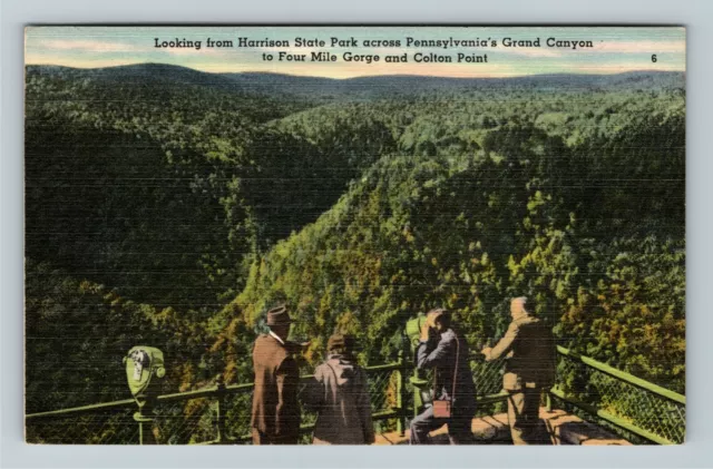 Colton Point PA- Pennsylvania, Aerial Harrison State Park, Vintage Postcard