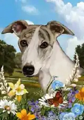 Summer House Flag - Fawn Brindle Whippet 18919