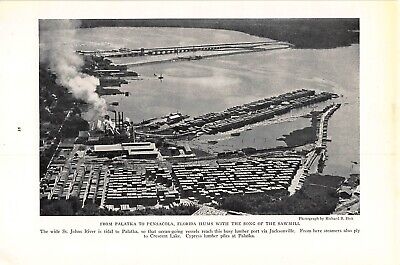 Print Ad 1930 Palatka To Pensacola, Florida Hums With The Song Of The Sawmill