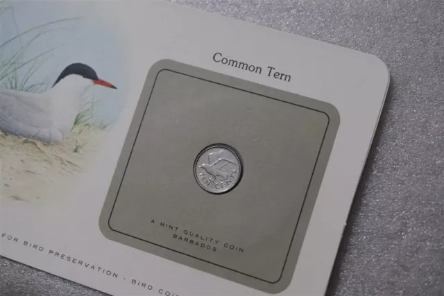 🧭 Barbados 10 Cents 1980 Common Tern Coin Cover B49 #15 2
