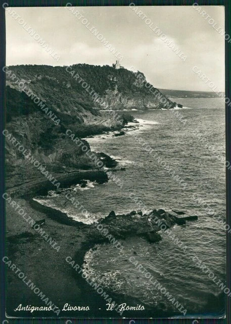 Livorno Antignano PIEGHE Foto FG cartolina KV7970