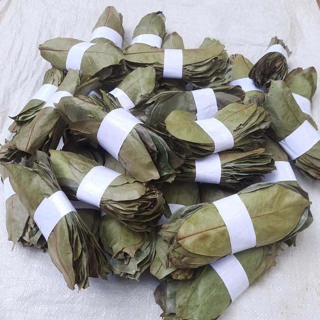 Organic Dried Soursop Leaves - Graviola Guanabana Leaf Tea 20g From Sri Lanka