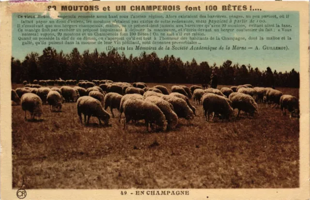 CPA 99 Moutons et Un Champenois ont 100 Betes! - Un Champagne (742143)