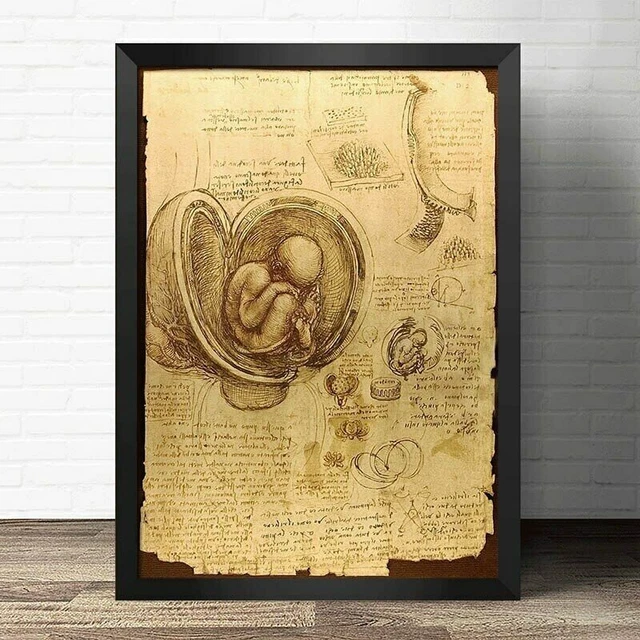 Tableau Toile "L'Homme De Vitruve" De Léonard De Vinci - Format 30x45 Cm - Neuf
