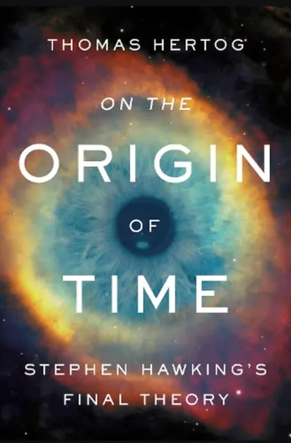 On the Origin of Time: Stephen Hawking's Final Theory by Thomas Hertog (English)