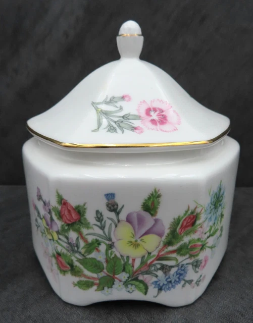 Aynsley Sauvage Tudor Bibelot Boîte à Couvercle Pagoda Octogonal Pot Anglais OS