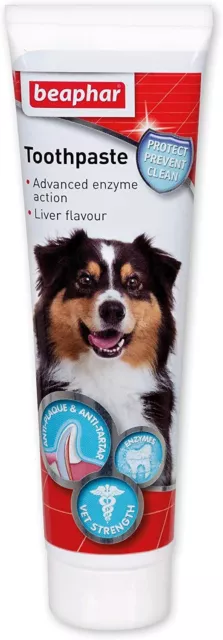 Beaphar Dentifrice pour Tout Tailles De Chien & Chats, Foie Goût Anti-plaque