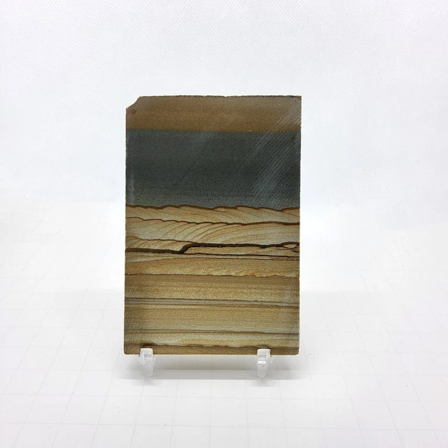 Cripple Creek Picture Jasper, landscape, slab, cabbing rough, lapidary, #R-5191