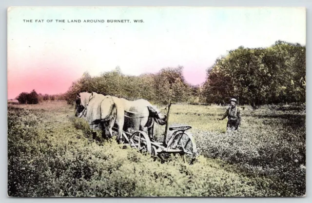 "Fat of Land" Around Burnett Wisconsin~Horse Pulling Plow~Farmer Off~1911 PC