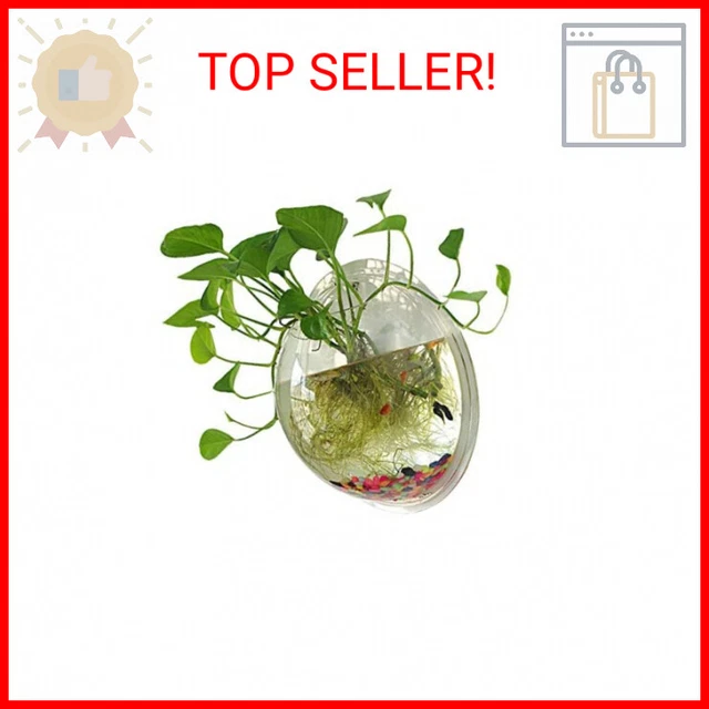 Sweetsea Hanging Wall Mounted Fish Bowl Betta Tank Aquarium Wall Decor Plant Fis