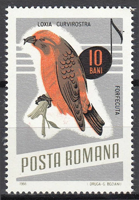 Rumänien Briefmarke gestempelt Fichtenkreuzschnabel Vogel Tier Jahr 1966 / 31