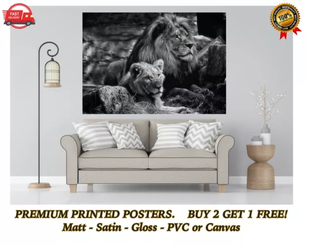 Lions schwarz & weiß gelbe Augen Wildlife Natur großes Poster Kunstdruck Geschenk