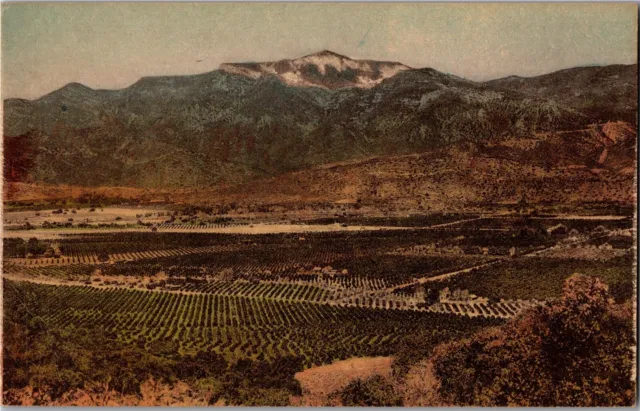 Aerial View of Ojai Valley CA Hand Colored Vintage Postcard R18