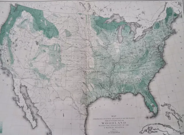 Woodland Density Forested Areas United States 1874 huge thematic map