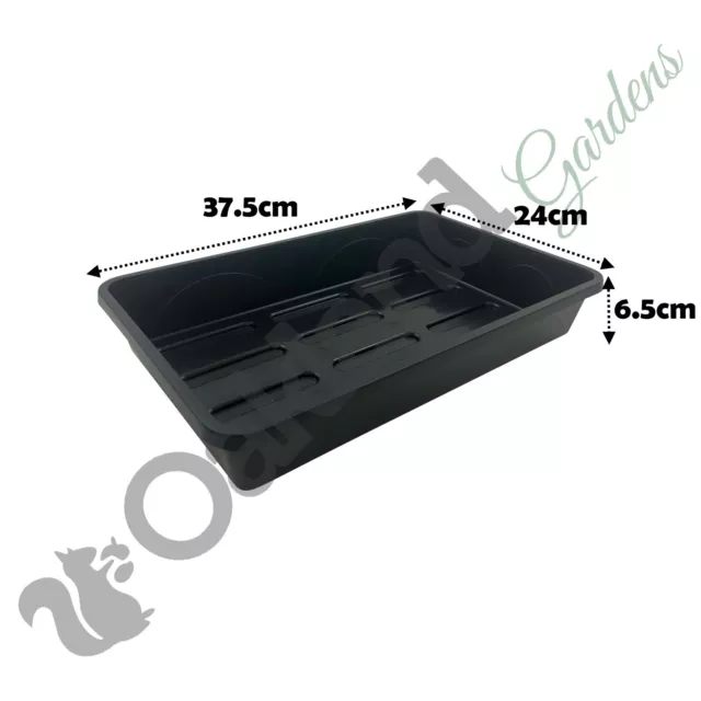 5 x Full Size 38cm Gravel Seed Tray No Holes Rigid Strong Propagator Tray