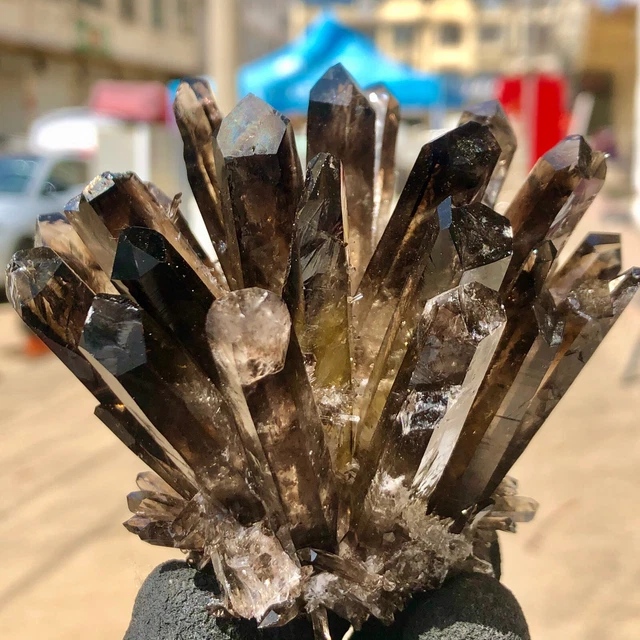 343g  New Find Black Phantom Quartz Crystal Cluster Mineral Specimen Healing 2