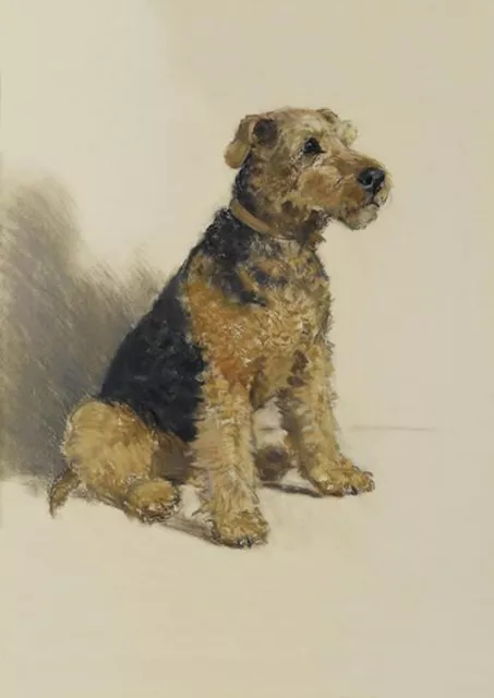 Welsh Terrier Charming Dog Greetings Note Card
