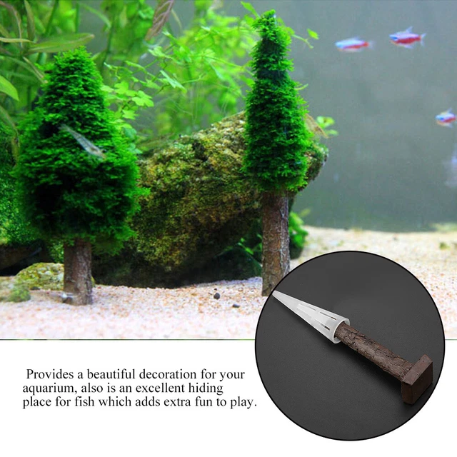 Moss Albero Di Natale Pianta Acquatica Erba Pianta D'acqua Per Acquario Fish Lmn