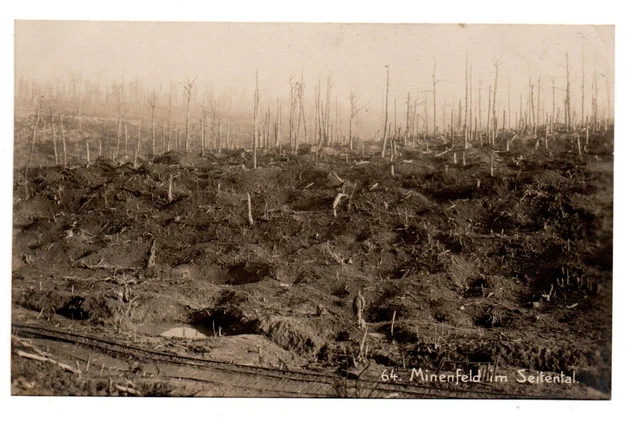 1 WK Foto Minenfeld im Seitental. Argonnen Februar 1917.