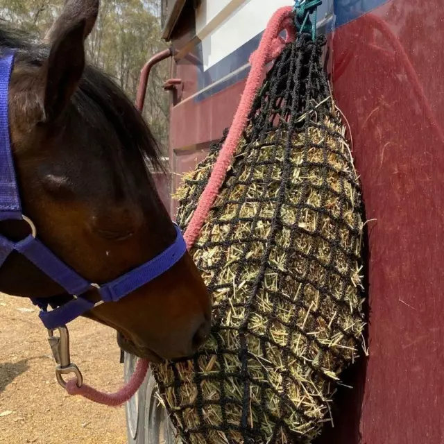 Small Deluxe Knotless Slow Feed Hay Net with 4cm Holes - Aussie Grazers