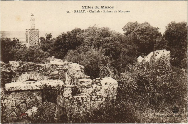 CPA AK MAROC RABAT Chellah Ruines de Mosquée (31298)