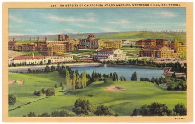 University Of California, Los Angeles, Westwood Hills, Vintage Linen Postcard