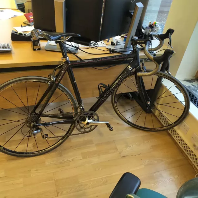 Focus cayo online carbon ultegra