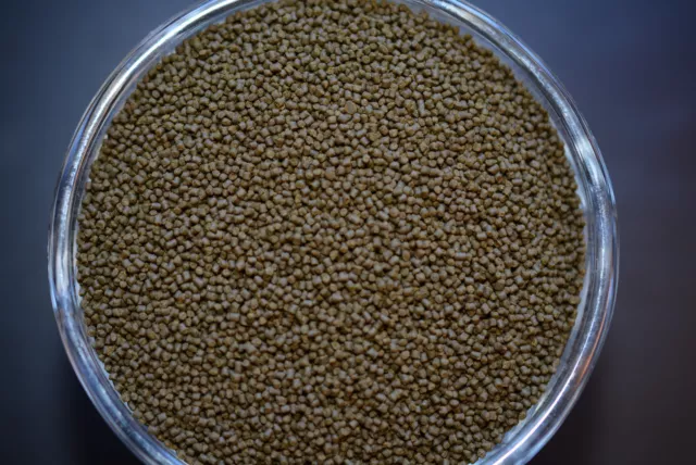ABF 1.2mm HIGH PROTEIN,SLOW SINKING,FRY FOOD,Cichlids,Fry Food,Fish,ABF70