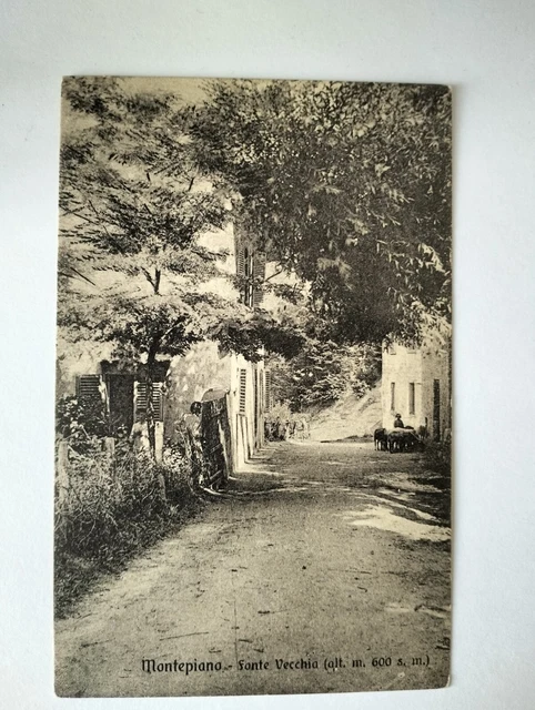 MONTEPIANO Prato - Fonte Vecchia fp nuova