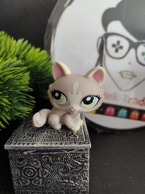 Figurine Pet Shop Chat Sphynx #521 LPS - Occasion - Hasbro